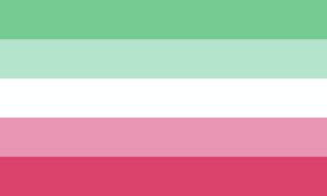 abro flag meaning|The meaning of abrosexual: All you need to know。